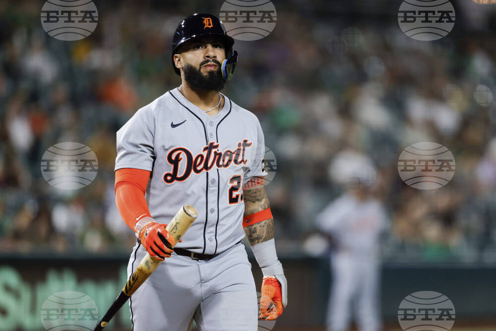 Tigers Athletics Baseball