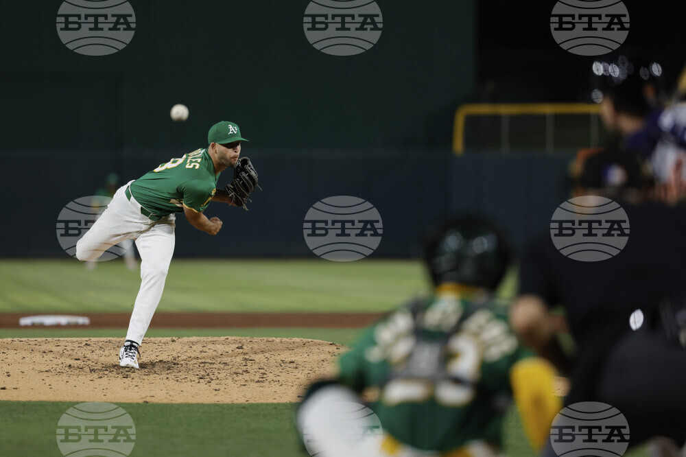 Tigers Athletics Baseball