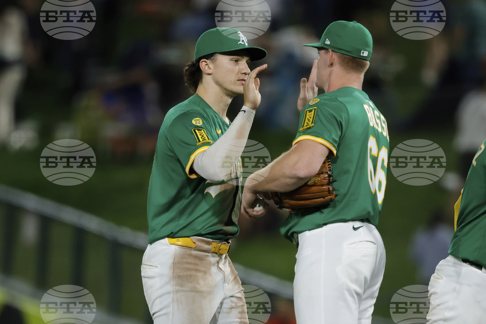 Tigers Athletics Baseball