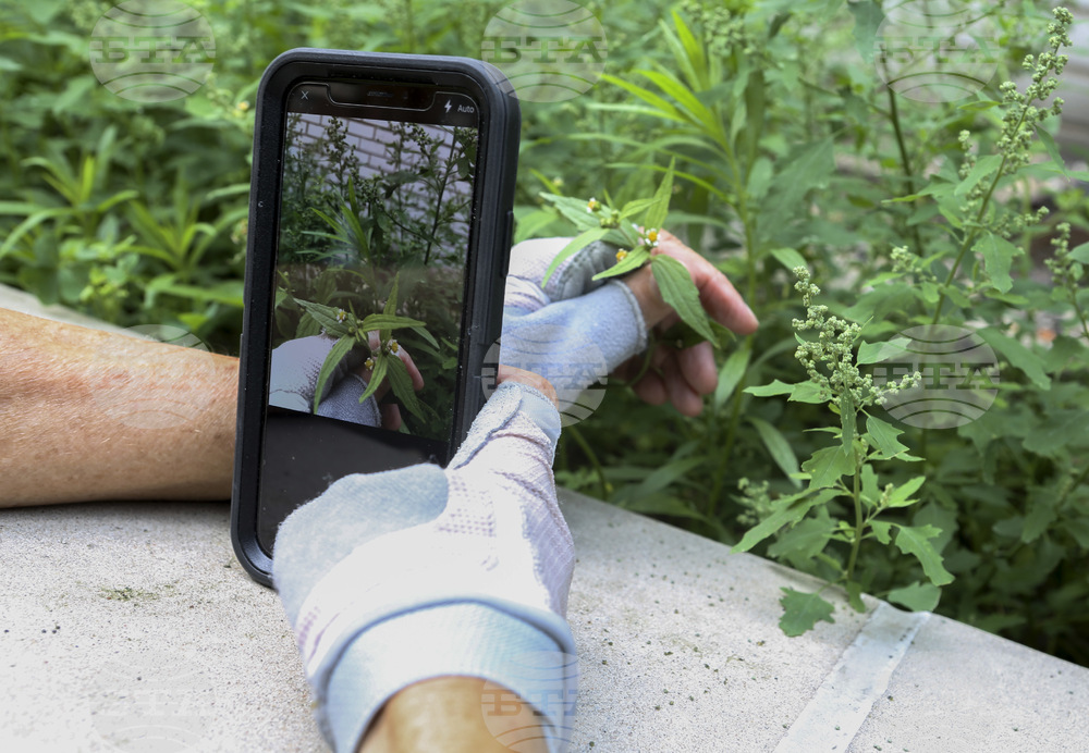 One Tech Tip-Nature Apps