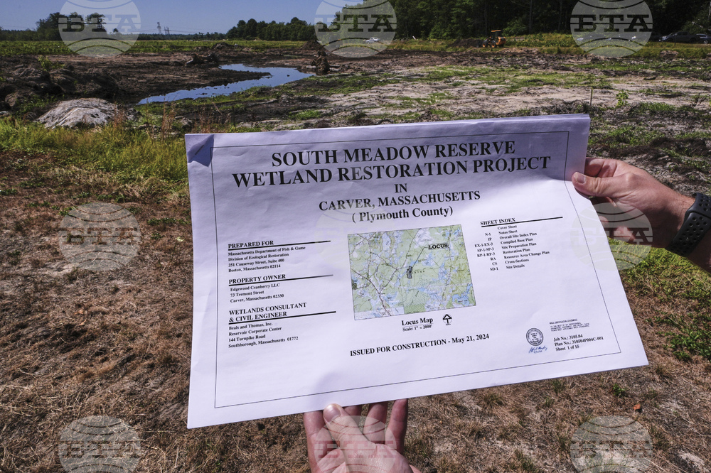 Cranberry Bogs Back to Nature