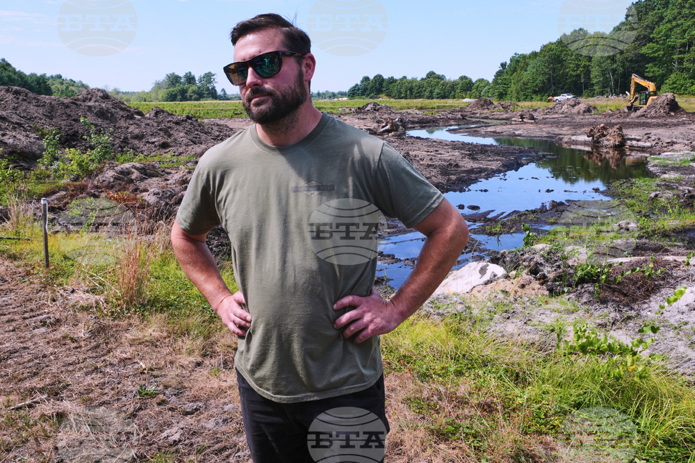 Cranberry Bogs Back to Nature