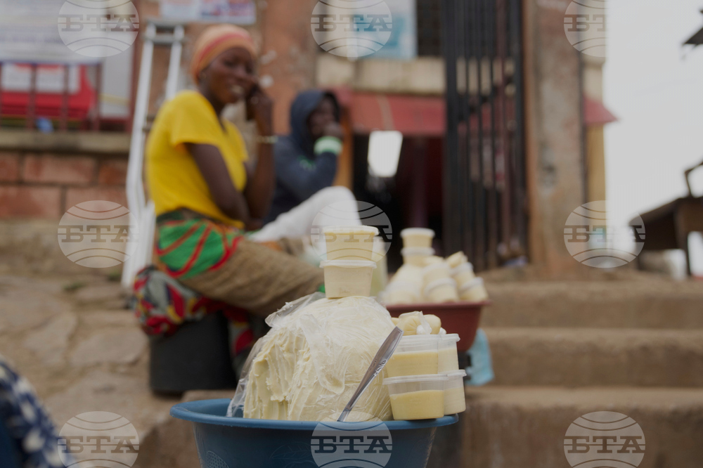 Nigeria Shea Nuts Ban