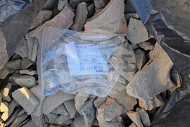 Видин - Антична Бонония - археологически разкопки