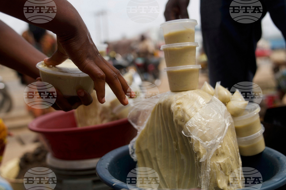 Nigeria Shea Nuts Ban