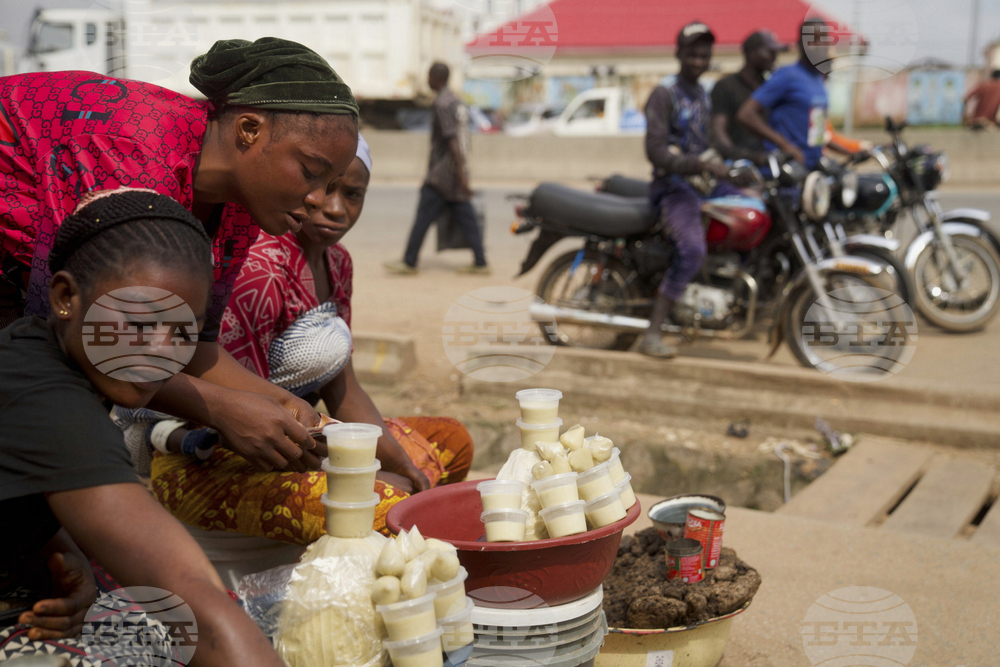 Nigeria Shea Nuts Ban