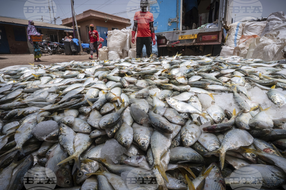 Глобално споразумение за прекратяване на вредните субсидии за рибарство бе прието от 166 страни 