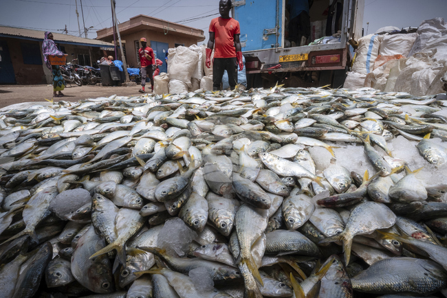 Глобално споразумение за прекратяване на вредните субсидии за рибарство бе прието от 166 страни 