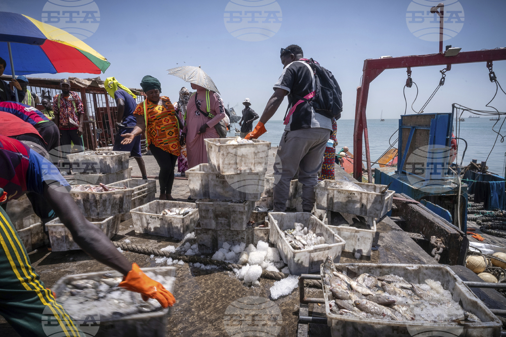 Ocean-Fisheries-The Fishing War