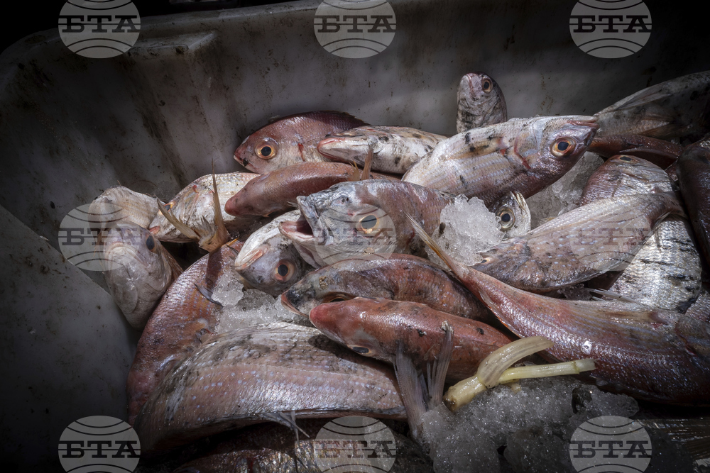 Ocean-Fisheries-The Fishing War