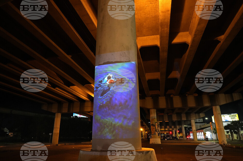 Katrina Photo Projections Photo Essay