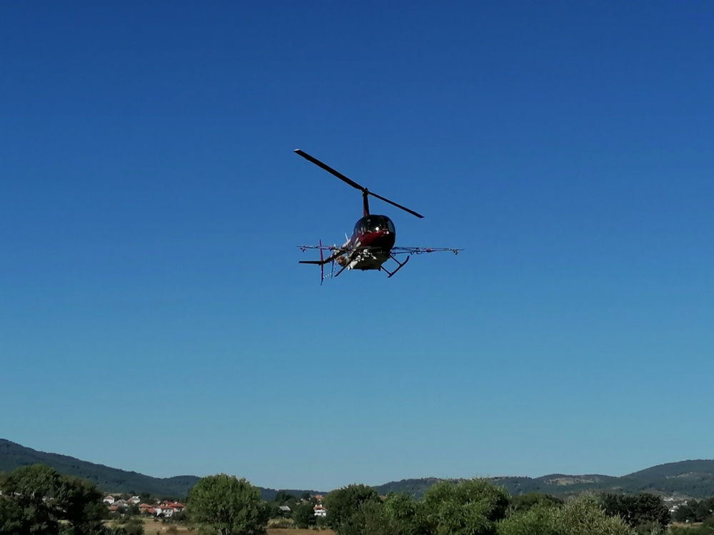 ИАГ: Започна въздушно пръскане срещу боровата процесионка в обхвата на дейност на Лесозащитна станция – Пловдив