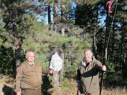 Снимка: Изпълнителна агенция по горите