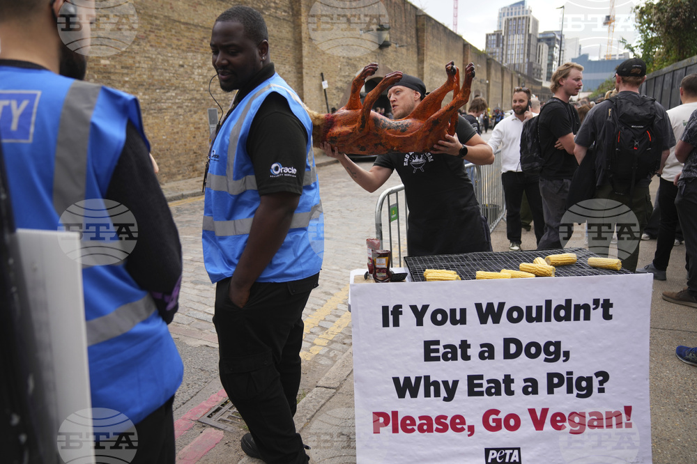 Britain Protest