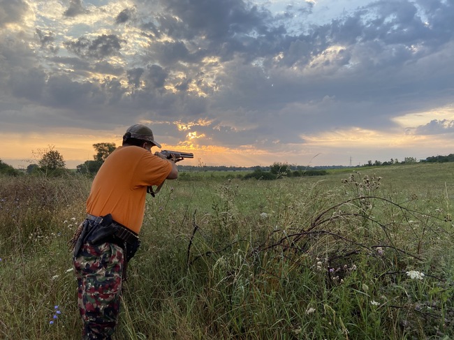 Изпълнителна агенция по горите: От днес влизат в сила новите поправки в ППЗЛОД