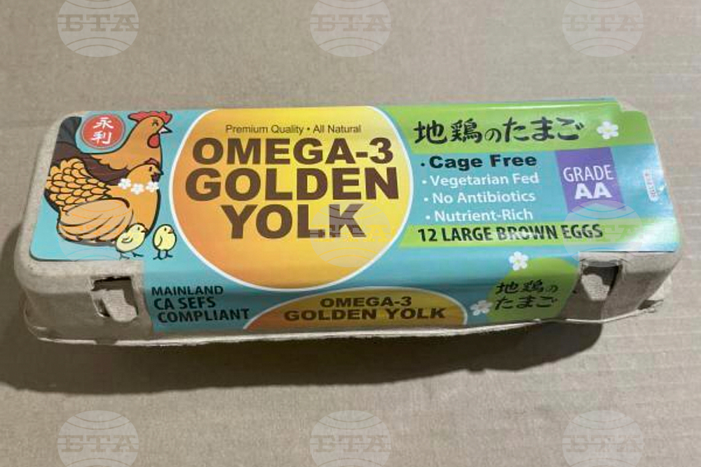 Salmonella Eggs