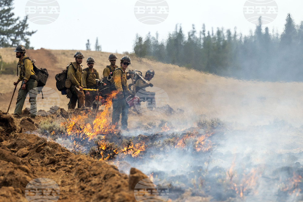 Immigration Border Patrol Firefighters