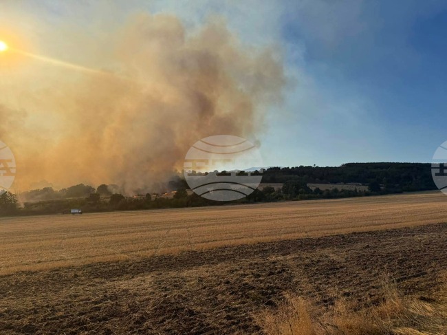 Пожарникари, горски служители и доброволци гасят пожар край село Старо Жалелзаре, община Хисаря