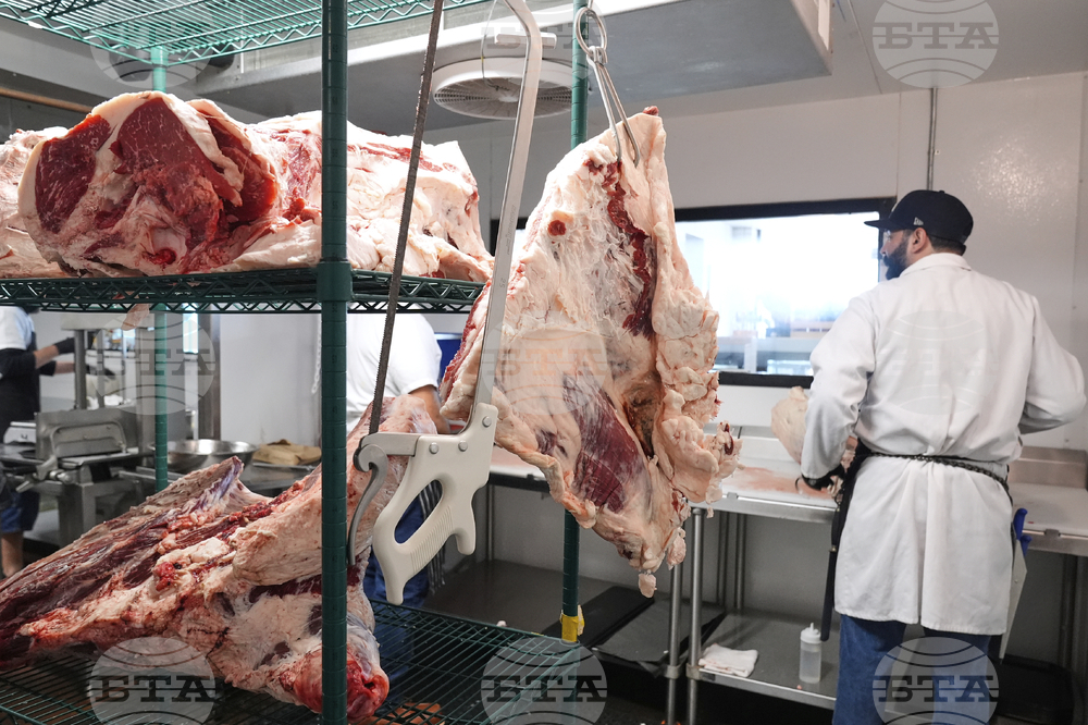 Beef Prices