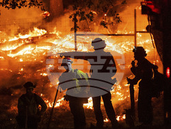 Pictures of the Week Global Photo Gallery