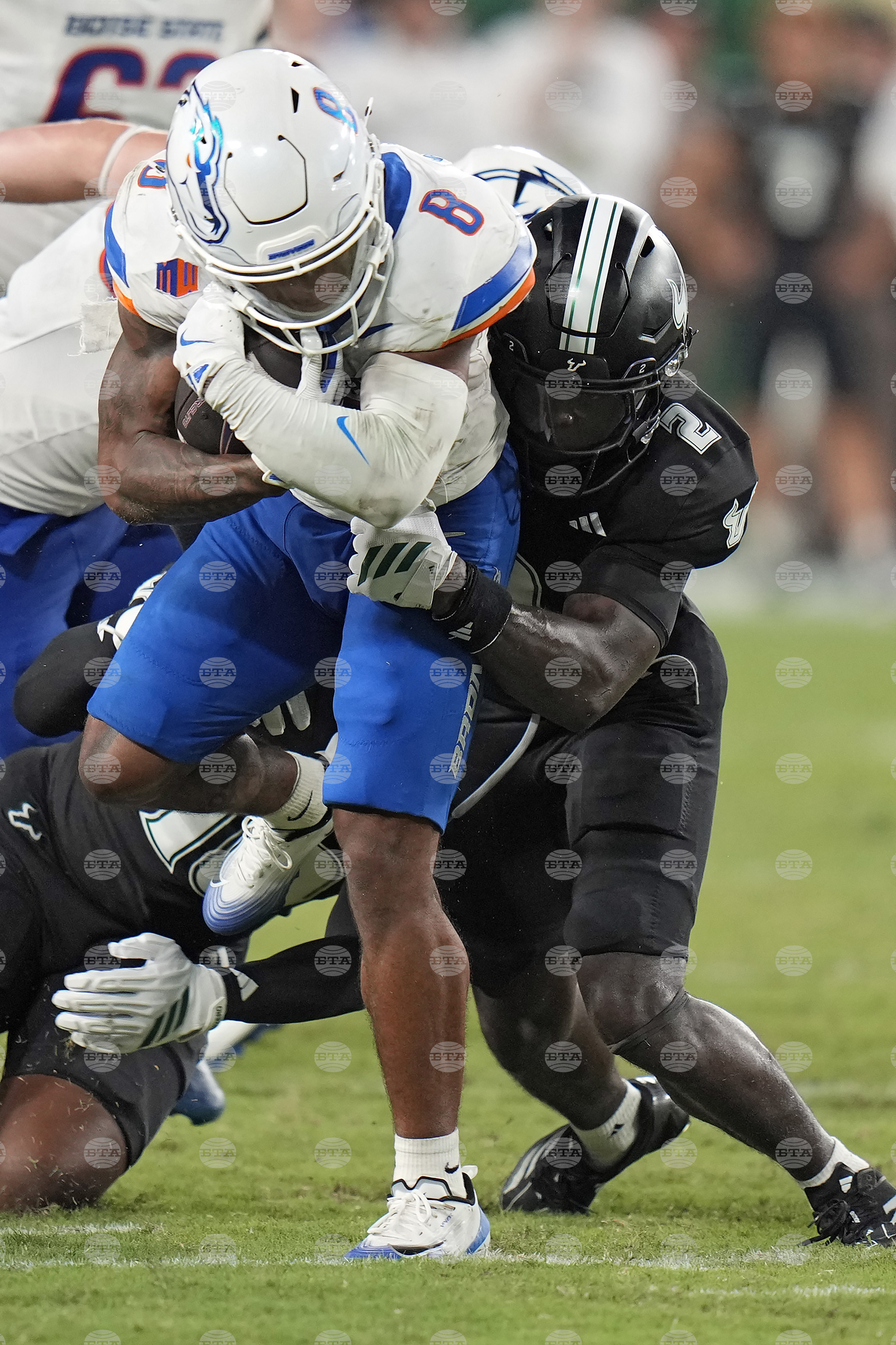 Boise St South Florida Football