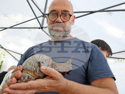 Варна - Изложба на гигантски африкански охлюви