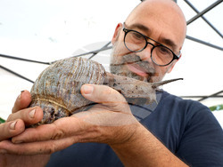 Варна - Изложба на гигантски африкански охлюви