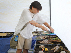 Варна - Изложба на гигантски африкански охлюви