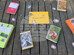 Видин - „Лято с библиотеката“ - закриване