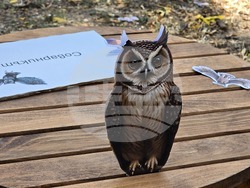 Видин - „Лято с библиотеката“ - закриване