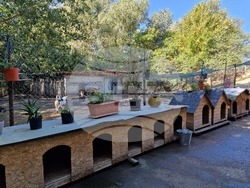 Свищов - приют за безстопанствени кучета