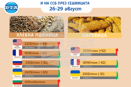 Цени на основни зърнени стоки по световните борси през седмицата 26-29 август