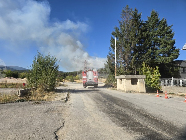 Горски масив гори край Панагюрище