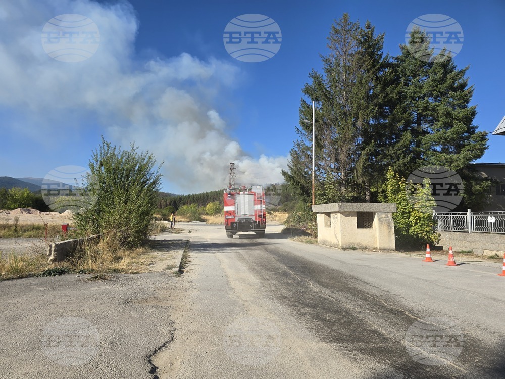Панагюрище - пожар