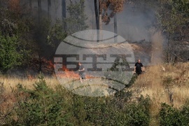 Панагюрище - пожар