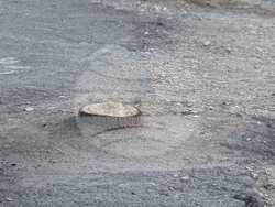 Снимка: Община Стара Загора