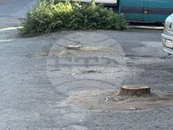 Снимка: Община Стара Загора