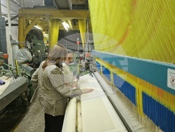 Велико Търново - Фирма "Аглика Трейд"