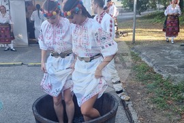 Плевен - фестивал на виното и фермерските деликатеси - откриване