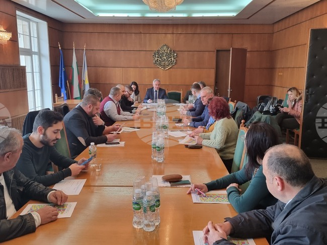 Плевен - избори - консултации