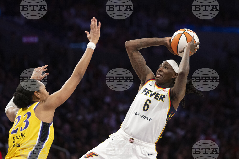 Fever Sparks Basketballu