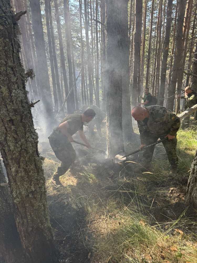 Bulgarian Military Units Continue Efforts to Contain Major Wildfire in Rila National Park