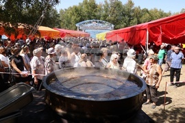 Село Панагюрски колонии - „Асарел Медет" - годишнина