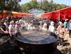 Село Панагюрски колонии - „Асарел Медет" - годишнина