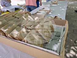 Село Бърдарски геран - банатски българи - бал