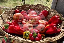 Село Логодаж - фестивал на лютеницата