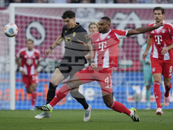 Germany Soccer Bundesliga