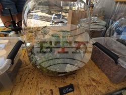 Ловеч - фестивал „На Варошлийски раздумки“