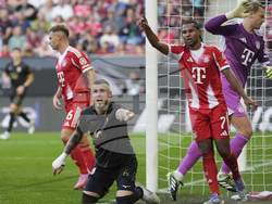 Germany Soccer Bundesliga