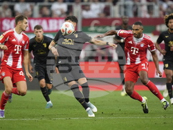 Germany Soccer Bundesliga